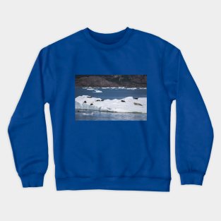 USA. Alaska. Sea Otters and Seal. Crewneck Sweatshirt